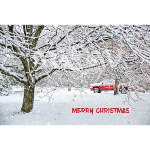 white snowy tree with red truck